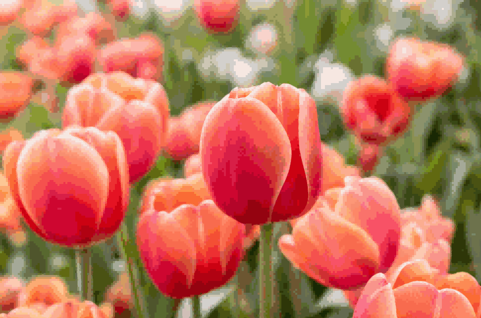 海关数据,Ebpay海关数据,荷兰海关数据