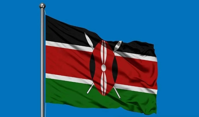 肯尼亚海关数据查询平台（附免费试用查询名额）